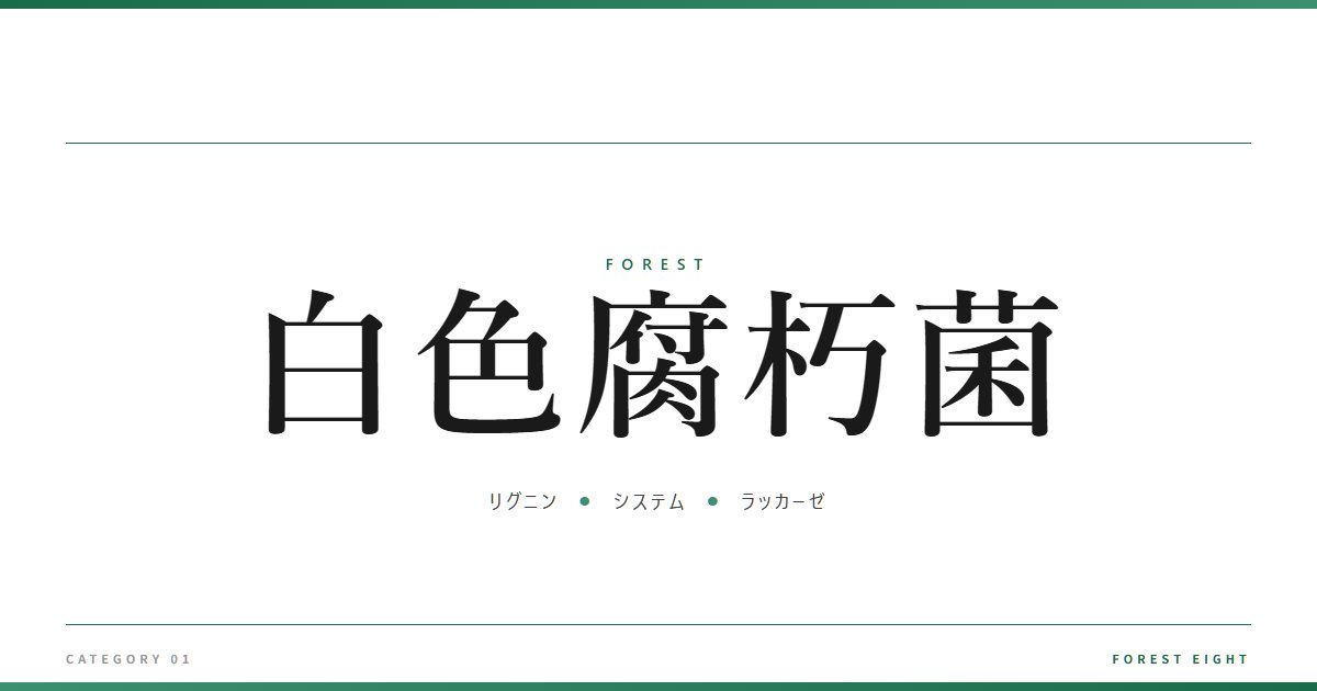 白色腐朽菌 | 森と所有 - Forest Eight