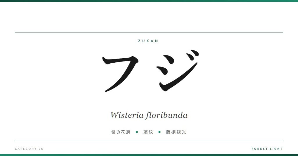 フジ | 樹木図鑑 - Forest Eight
