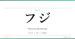 フジ | 樹木図鑑 - Forest Eight