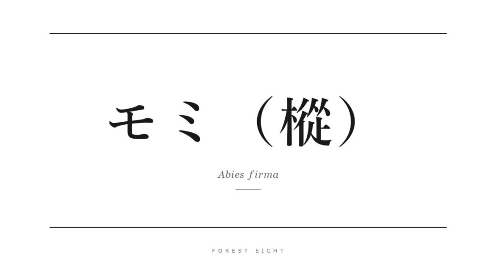モミ（樅） | Forest Eight