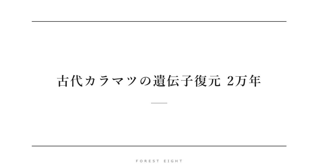 古代カラマツの遺伝子復元 2万年 | Forest Eight