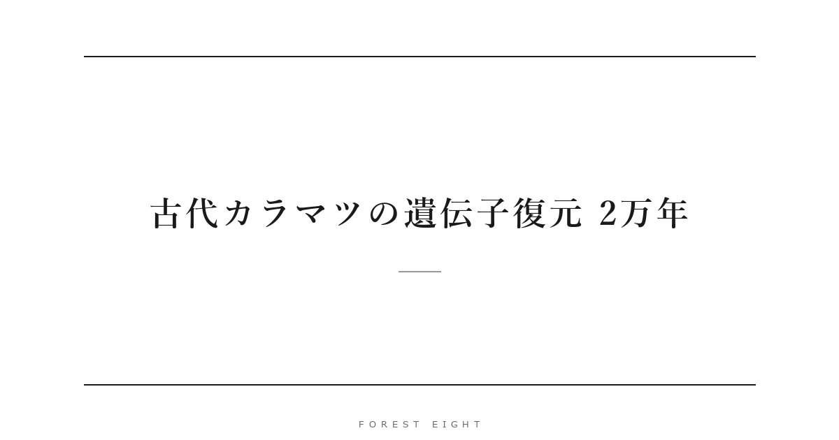 古代カラマツの遺伝子復元 2万年 | Forest Eight