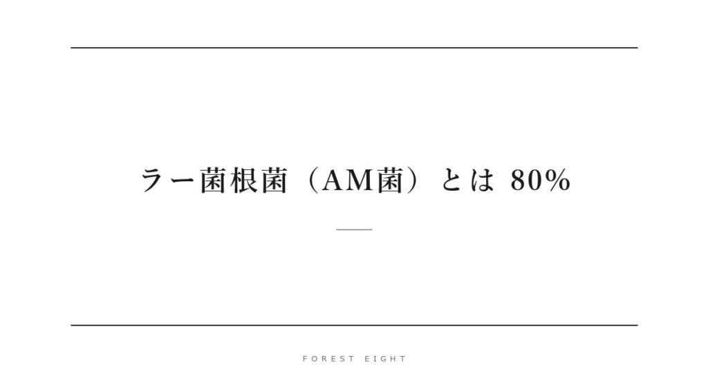 ラー菌根菌（AM菌）とは 80% | Forest Eight