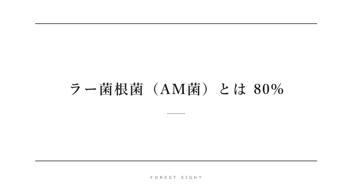 ラー菌根菌（AM菌）とは 80% | Forest Eight