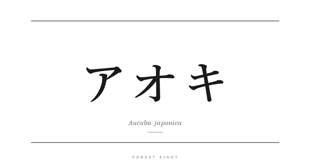 アオキ | Forest Eight