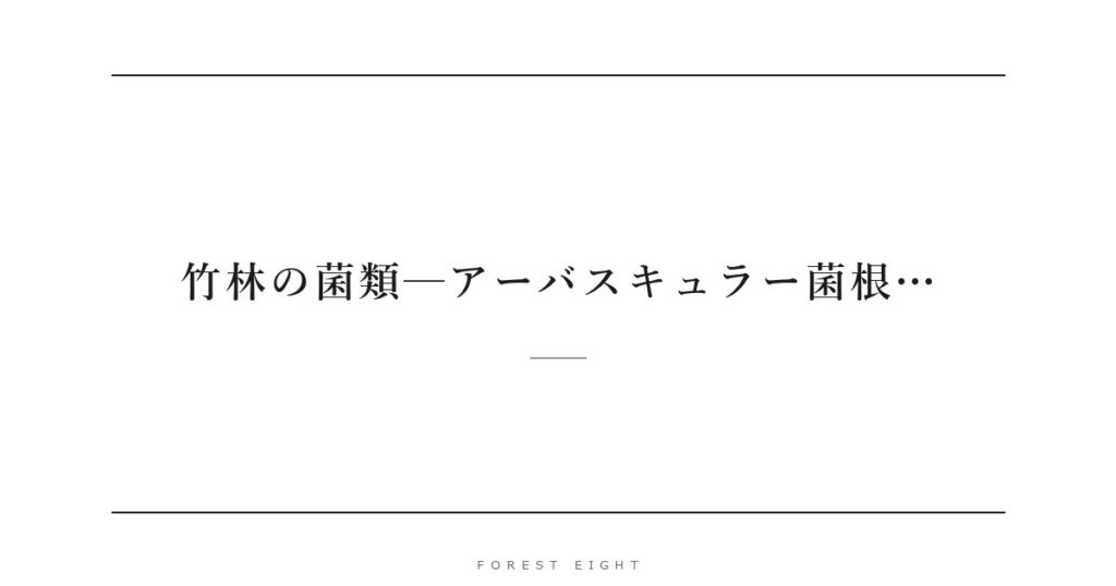 竹林の菌類─アーバスキュラー菌根… | Forest Eight
