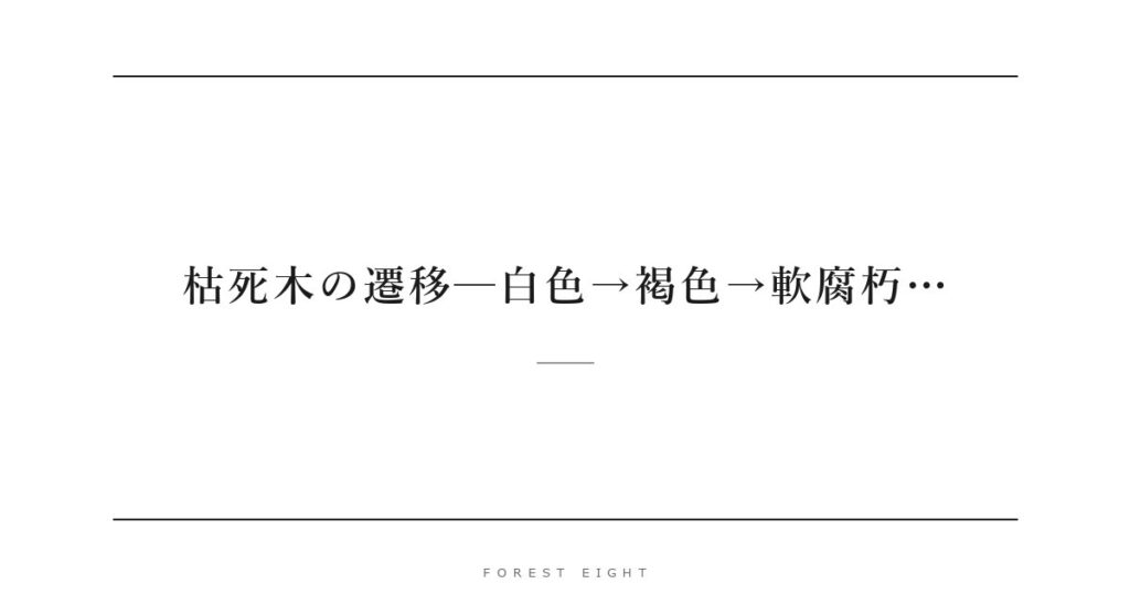 枯死木の遷移─白色→褐色→軟腐朽… | Forest Eight