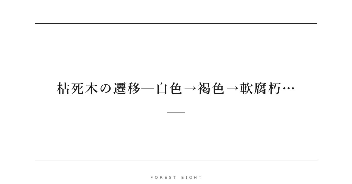 枯死木の遷移─白色→褐色→軟腐朽… | Forest Eight