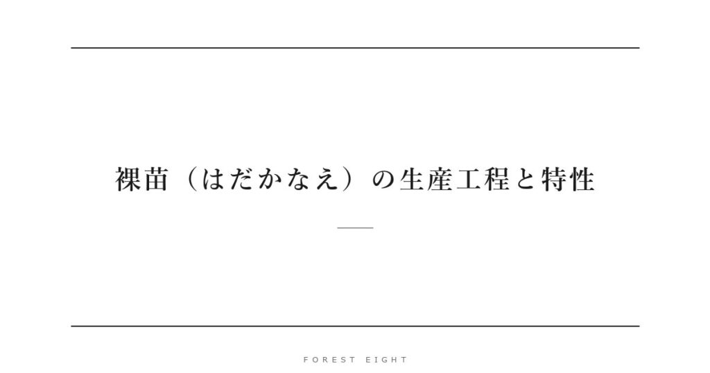 裸苗（はだかなえ）の生産工程と特性 | Forest Eight