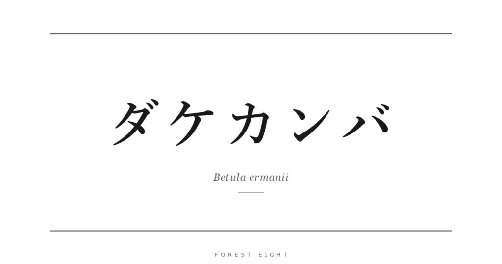 ダケカンバ | Forest Eight