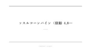 ッスルコーンパイン（樹齢 4,8… | Forest Eight
