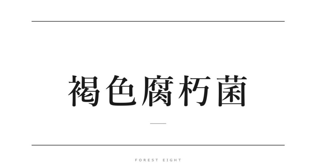 褐色腐朽菌 | Forest Eight