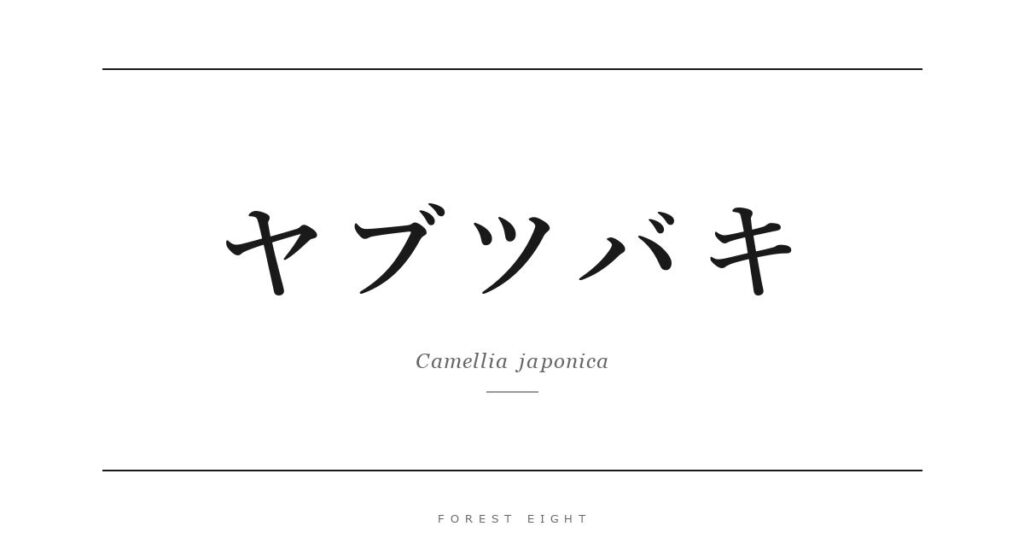 ヤブツバキ | Forest Eight