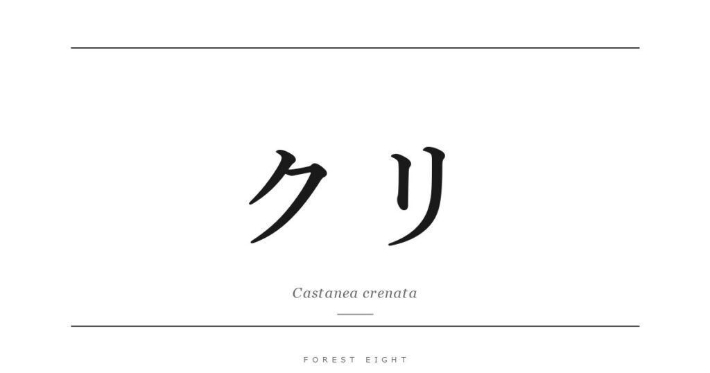 クリ | Forest Eight