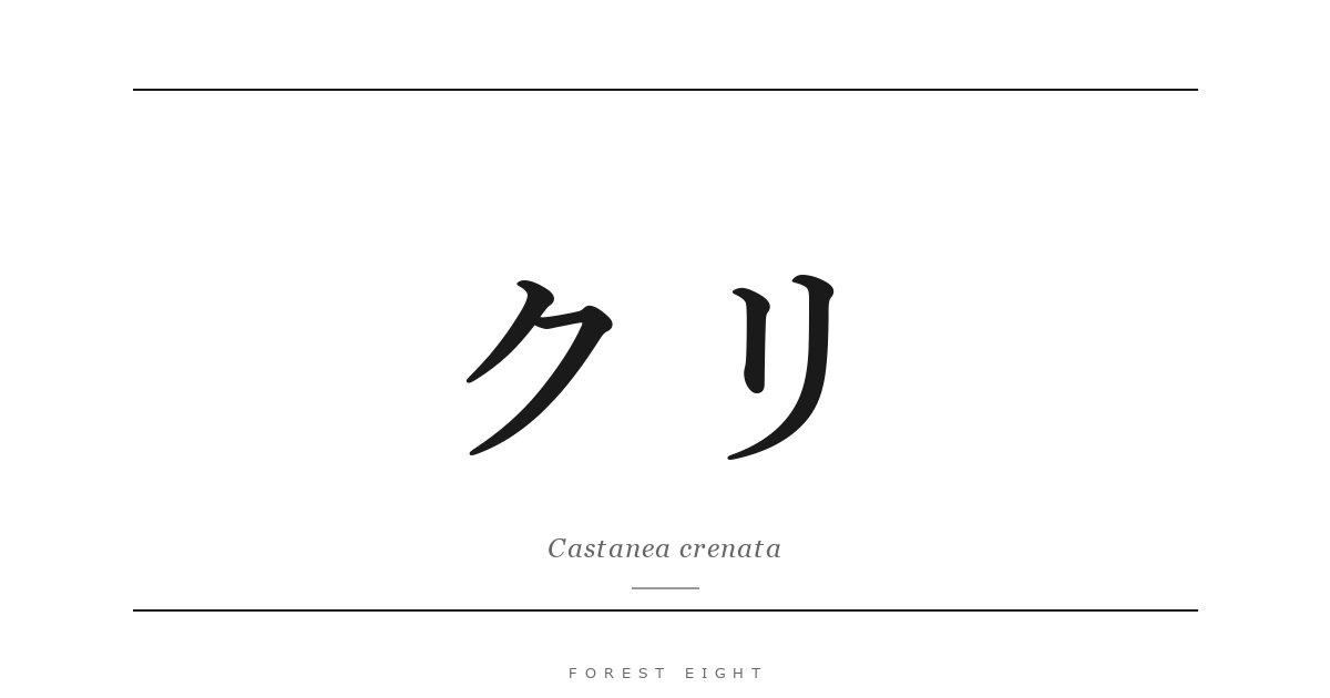 クリ | Forest Eight