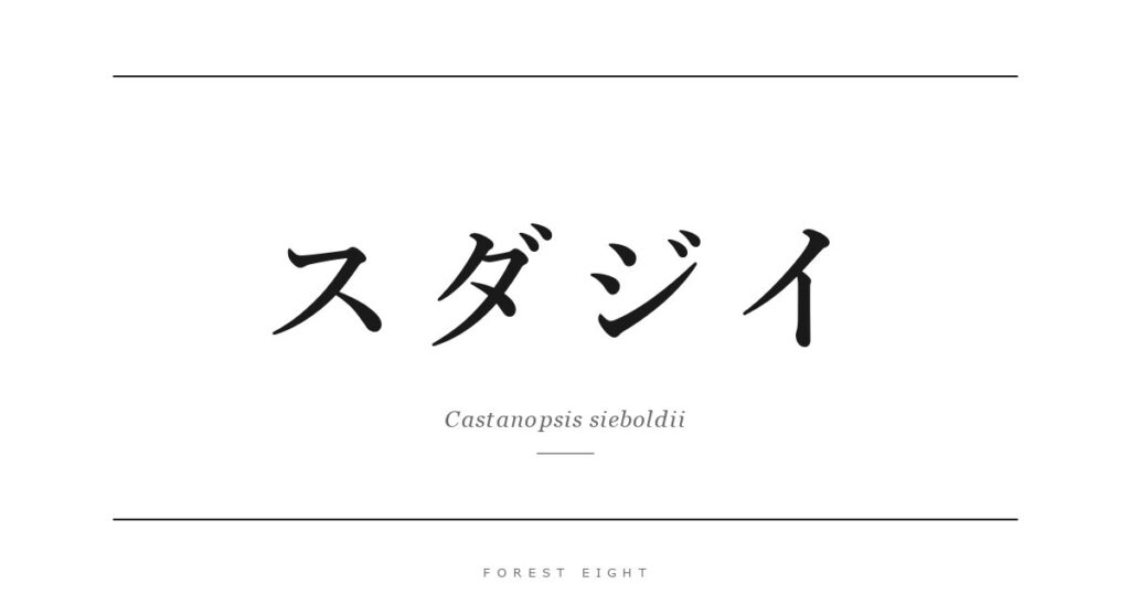 スダジイ | Forest Eight