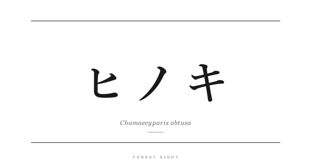 ヒノキ | Forest Eight