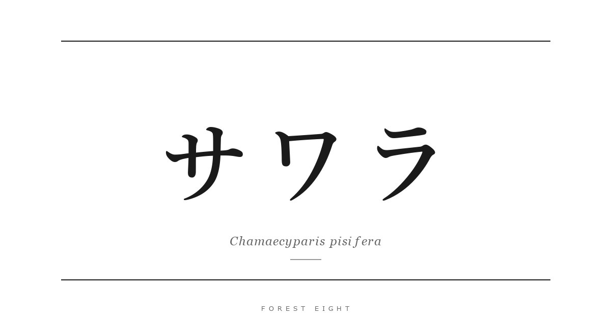 サワラ | Forest Eight