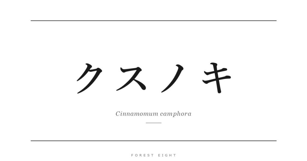 クスノキ | Forest Eight