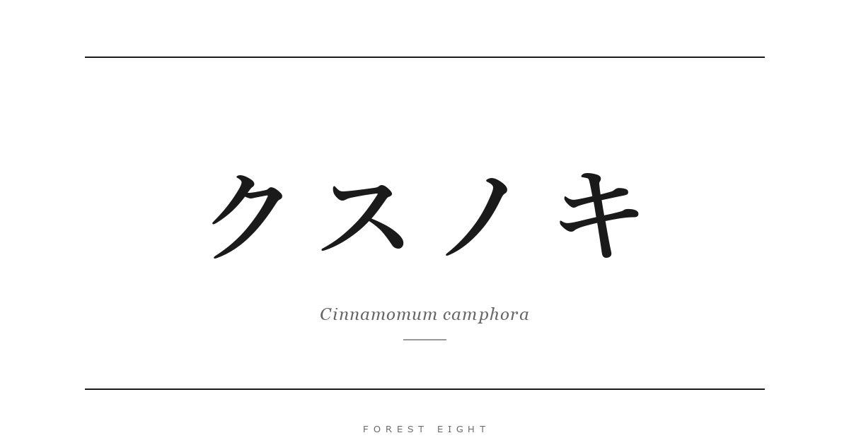 クスノキ | Forest Eight