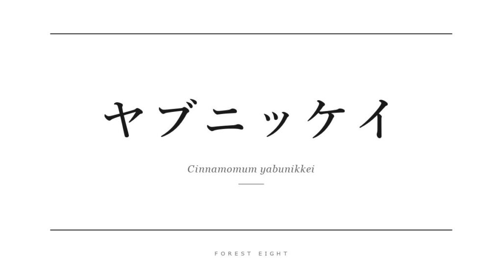 ヤブニッケイ | Forest Eight