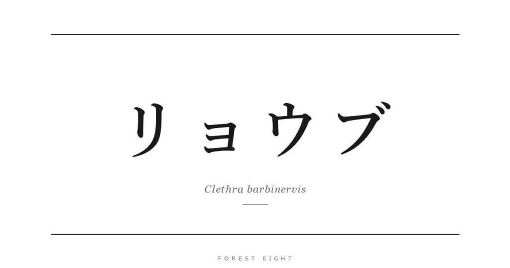 リョウブ | Forest Eight