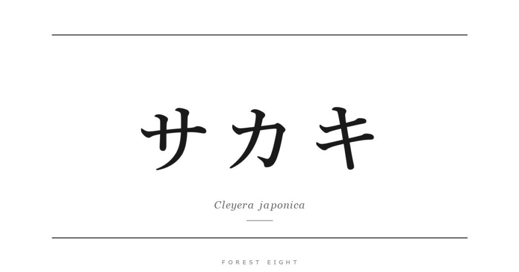 サカキ | Forest Eight
