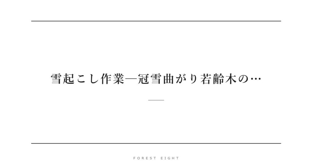 雪起こし作業─冠雪曲がり若齢木の… | Forest Eight