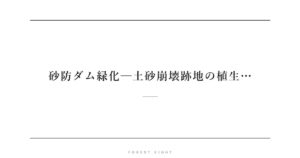 砂防ダム緑化─土砂崩壊跡地の植生… | Forest Eight