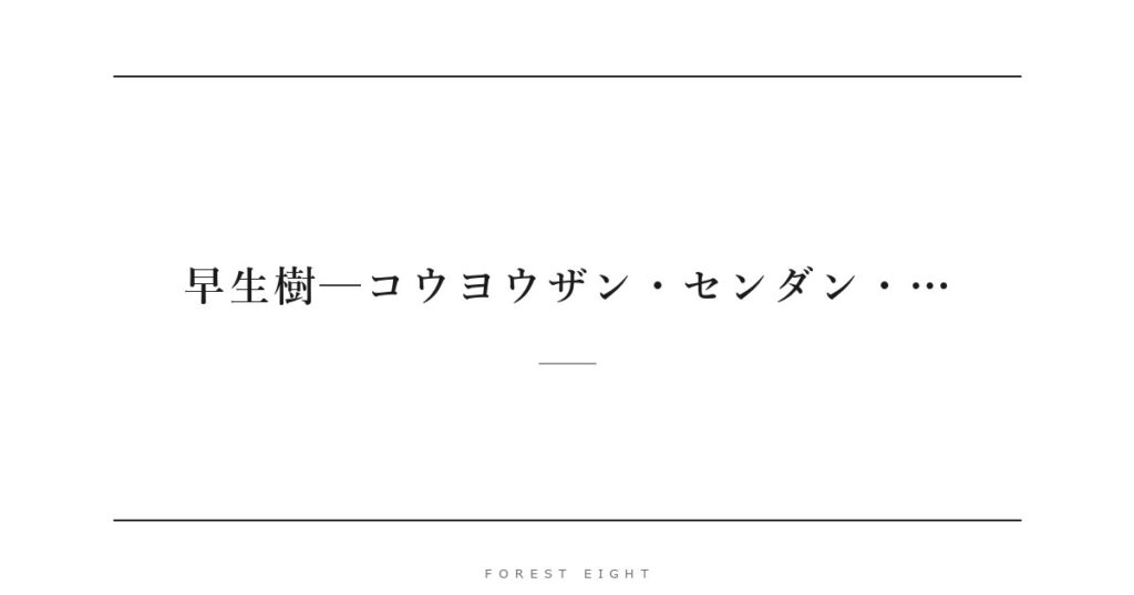 早生樹─コウヨウザン・センダン・… | Forest Eight