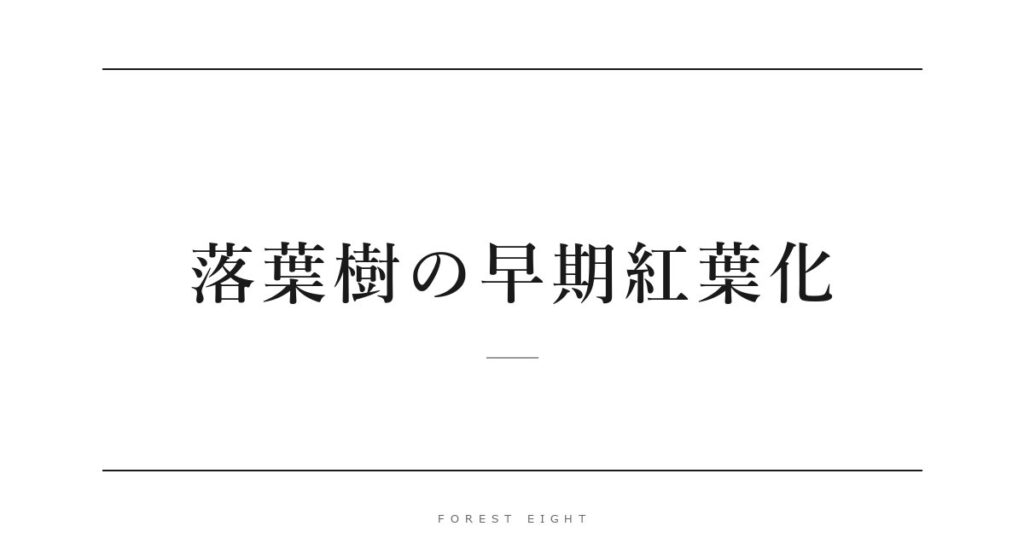 落葉樹の早期紅葉化 | Forest Eight