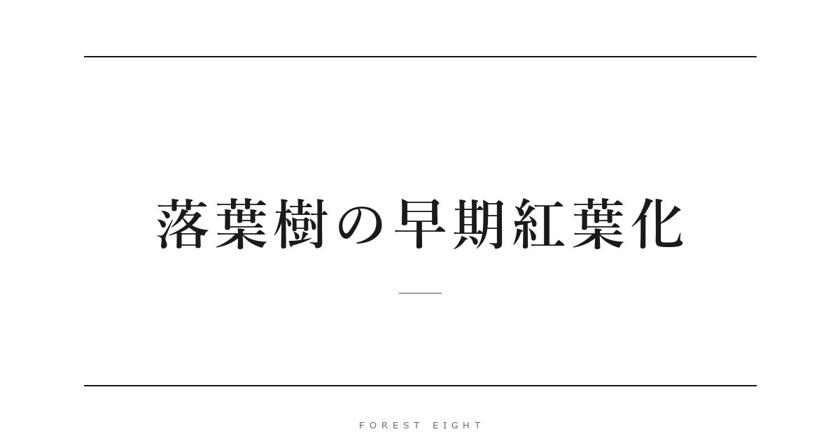 落葉樹の早期紅葉化 | Forest Eight