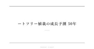 ートツリー植栽の成長予測 50年 | Forest Eight