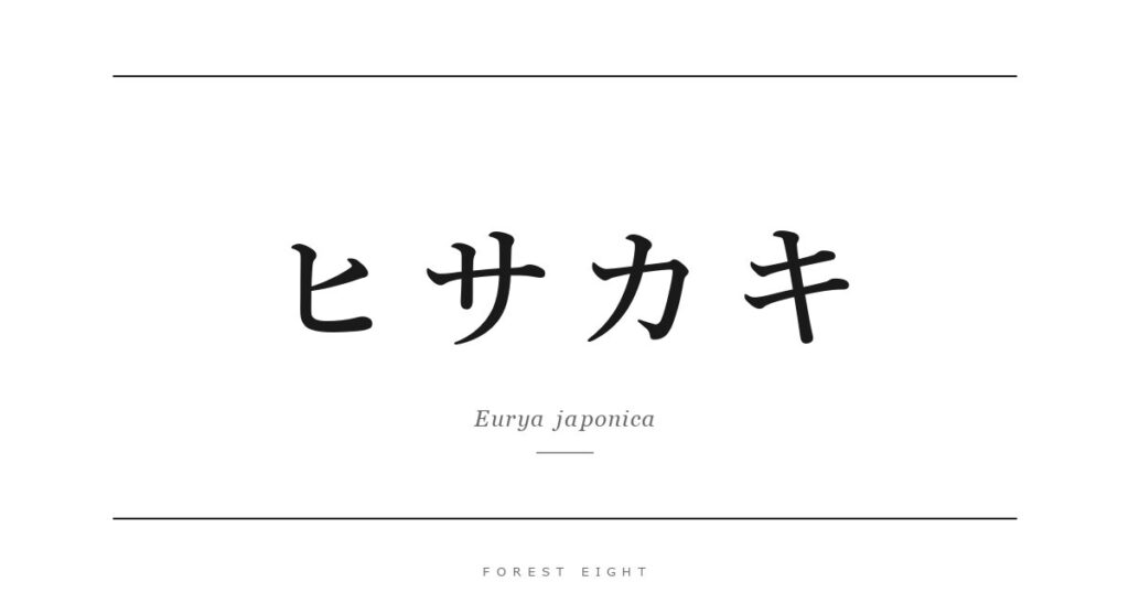 ヒサカキ | Forest Eight