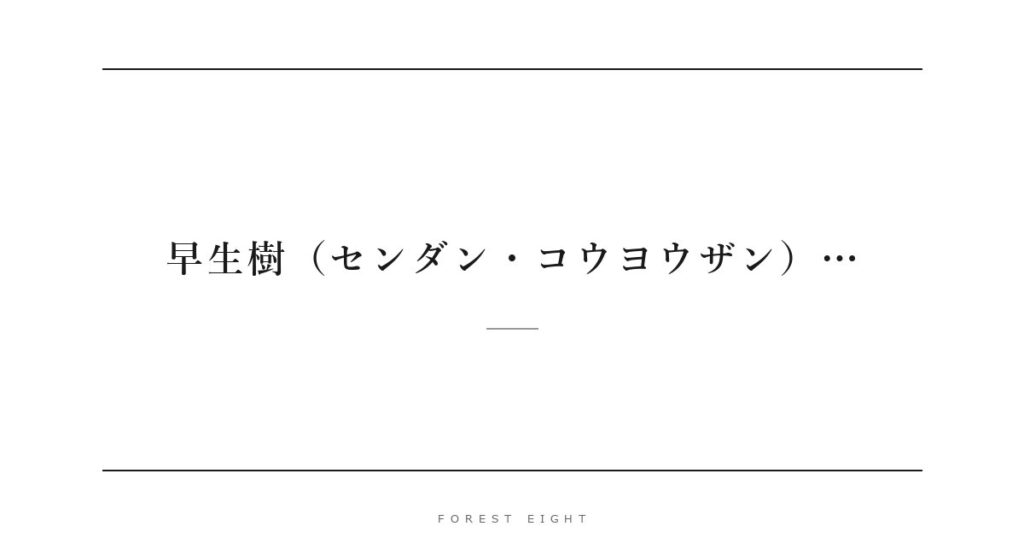 早生樹（センダン・コウヨウザン）… | Forest Eight