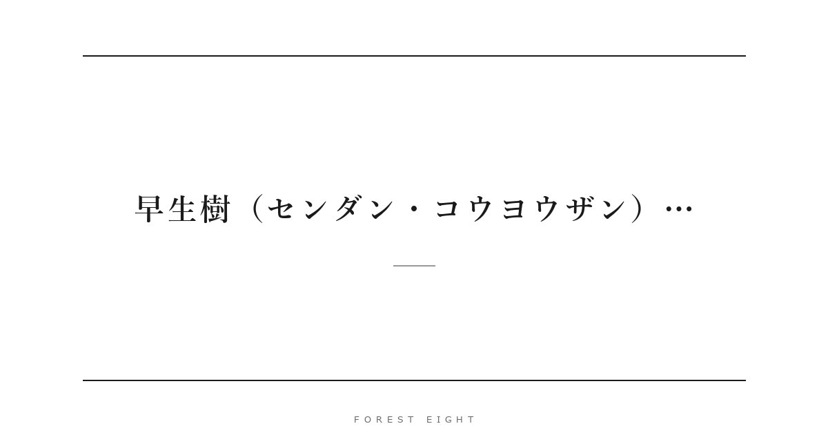 早生樹（センダン・コウヨウザン）… | Forest Eight