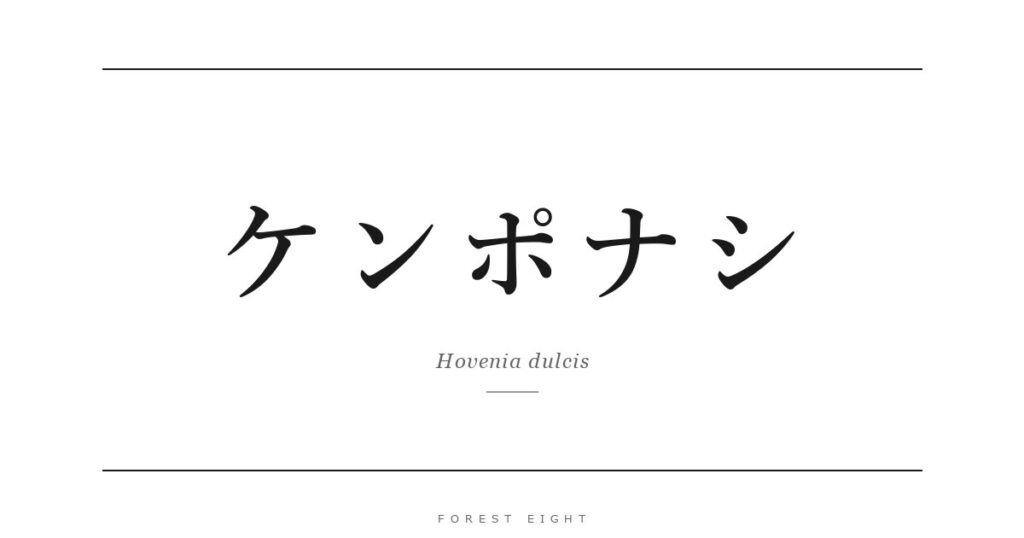 ケンポナシ | Forest Eight