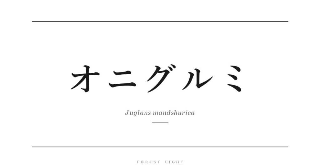 オニグルミ | Forest Eight