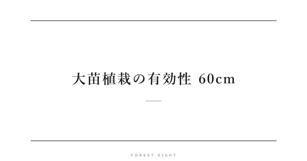 大苗植栽の有効性 60cm | Forest Eight