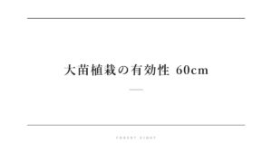 大苗植栽の有効性 60cm | Forest Eight