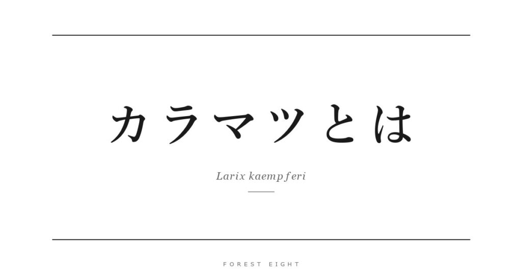 カラマツとは | Forest Eight