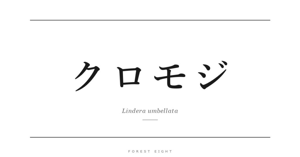 クロモジ | Forest Eight