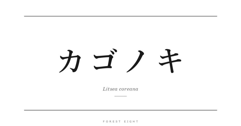 カゴノキ | Forest Eight
