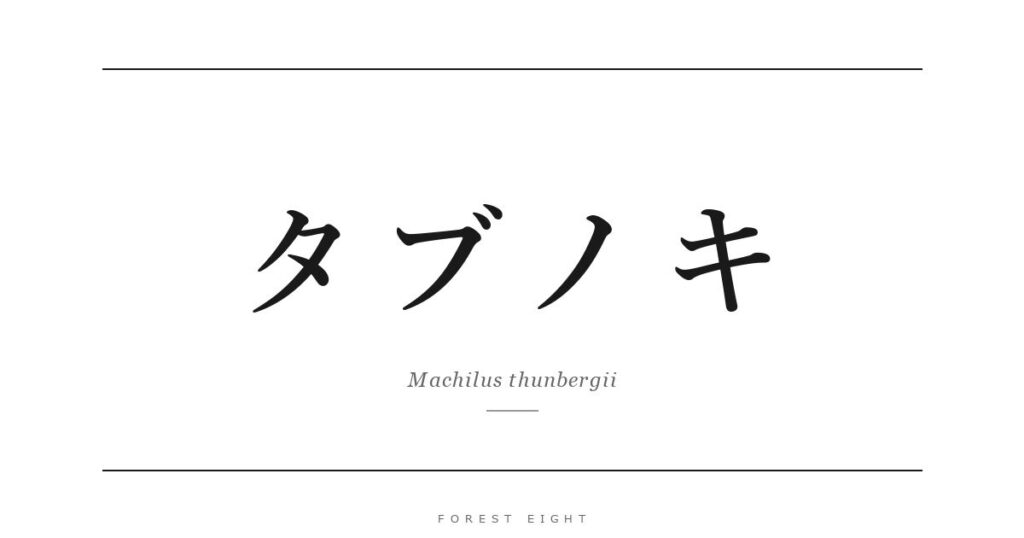 タブノキ | Forest Eight