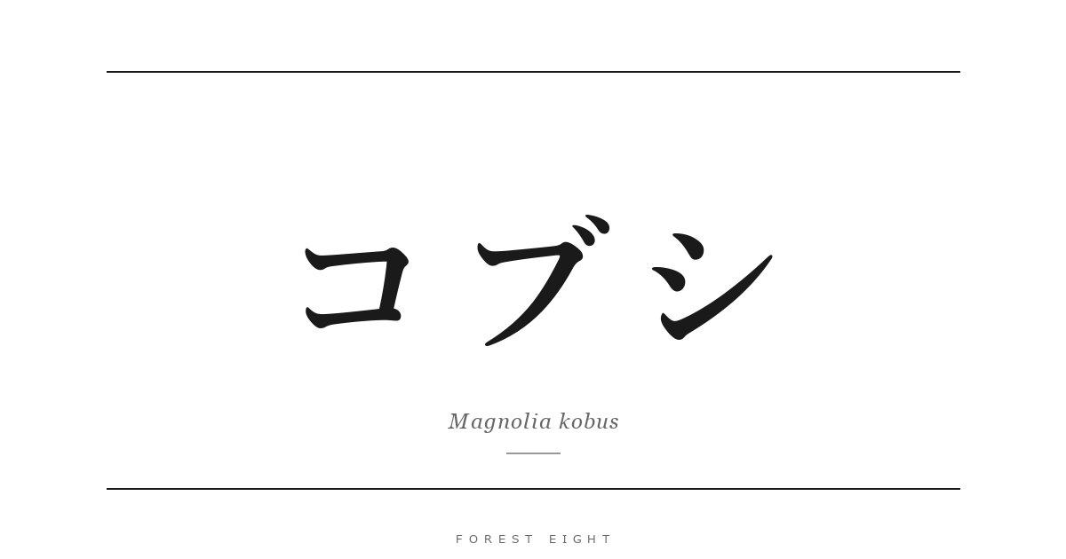 コブシ | Forest Eight