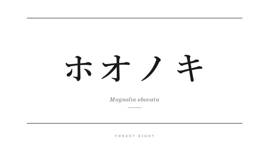 ホオノキ | Forest Eight