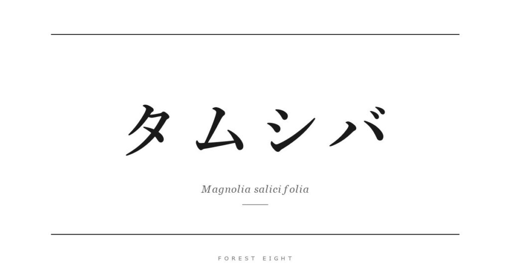 タムシバ | Forest Eight
