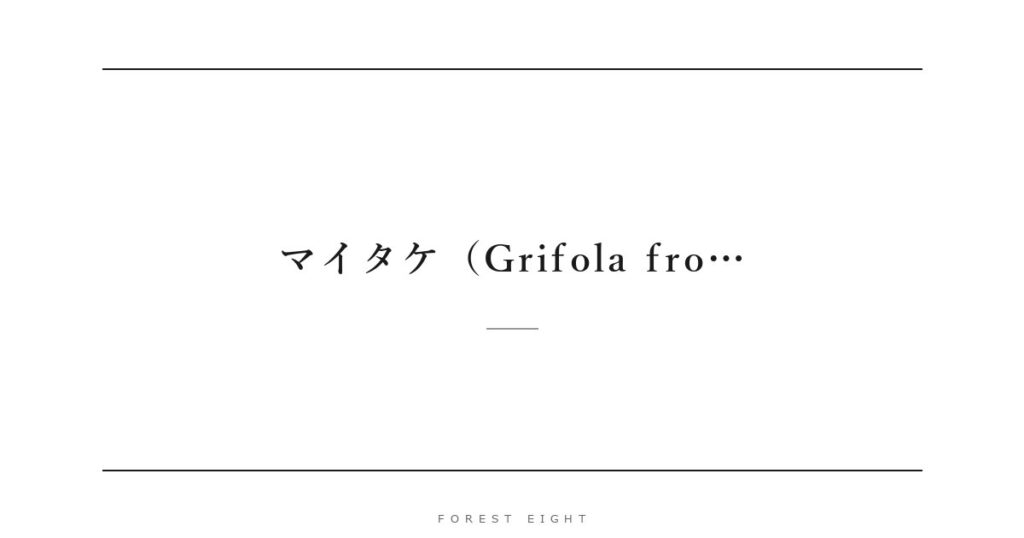 マイタケ（Grifola fro… | Forest Eight
