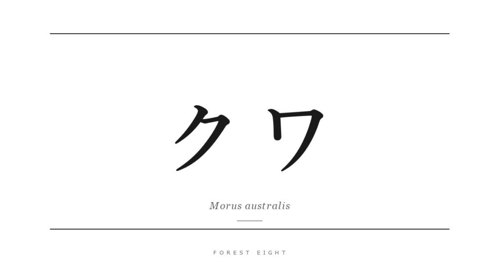 クワ | Forest Eight