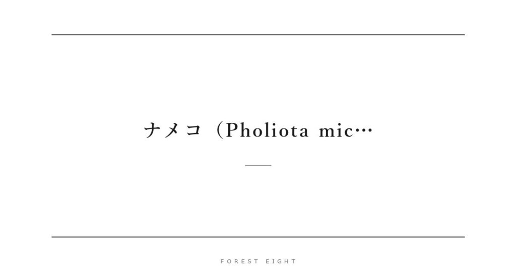 ナメコ（Pholiota mic… | Forest Eight